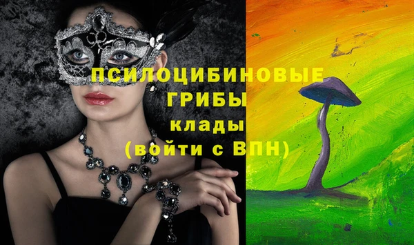 Альфа ПВП Арсеньев