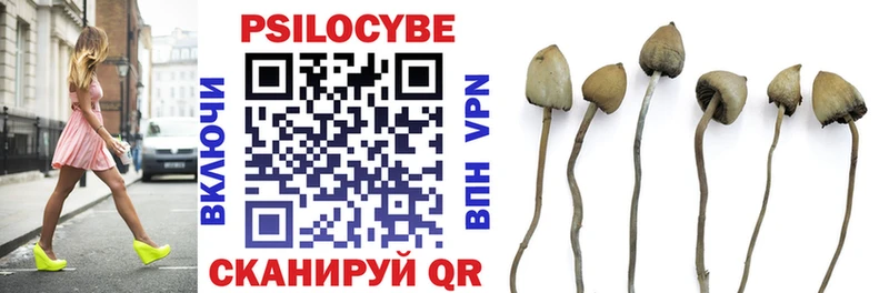 где можно купить наркотик  ОМГ ОМГ как зайти  Галлюциногенные грибы MAGIC MUSHROOMS  Няндома 